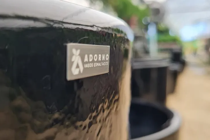 Adorno Vasos