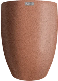 Tom Argila